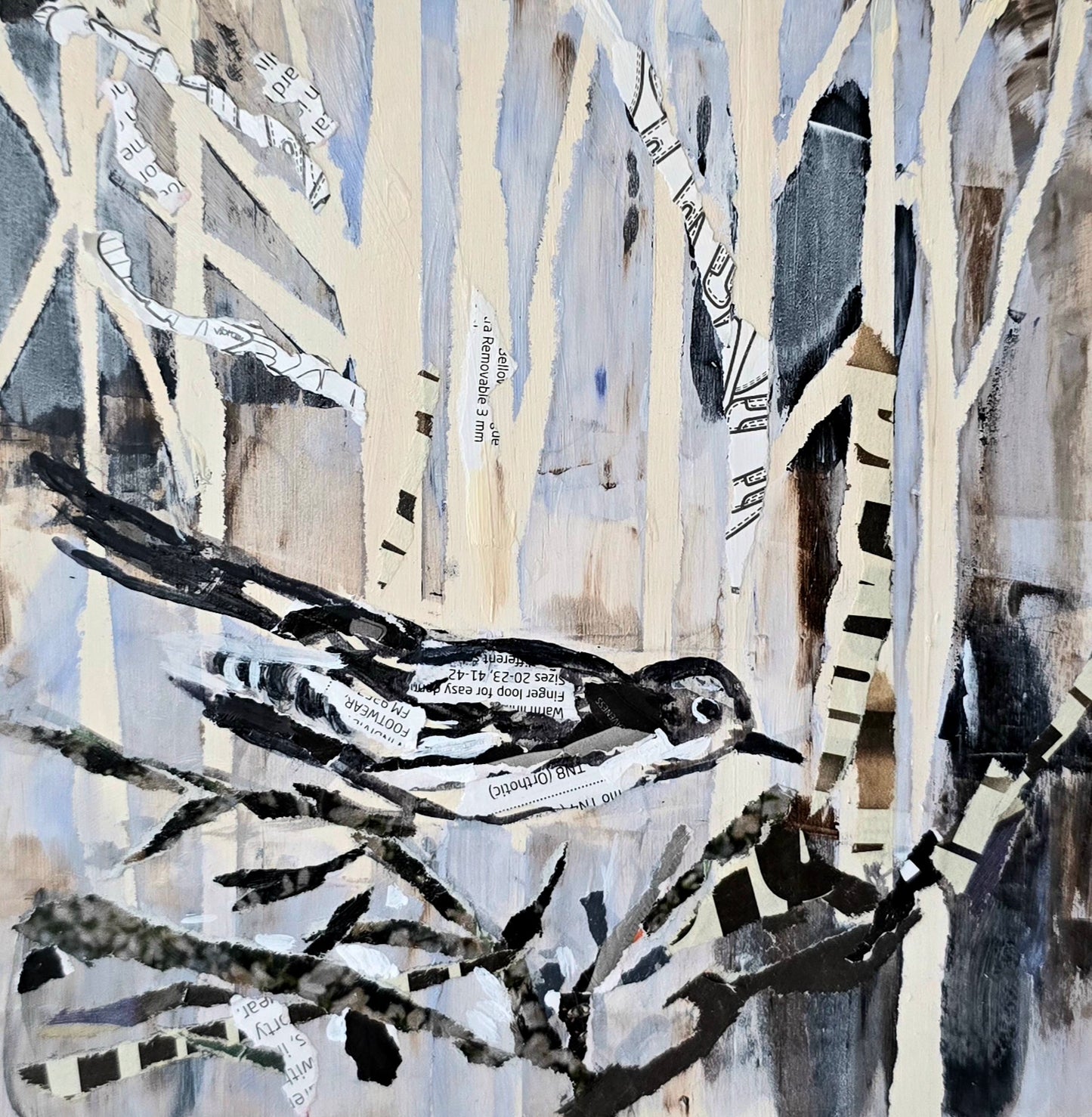 birchbird