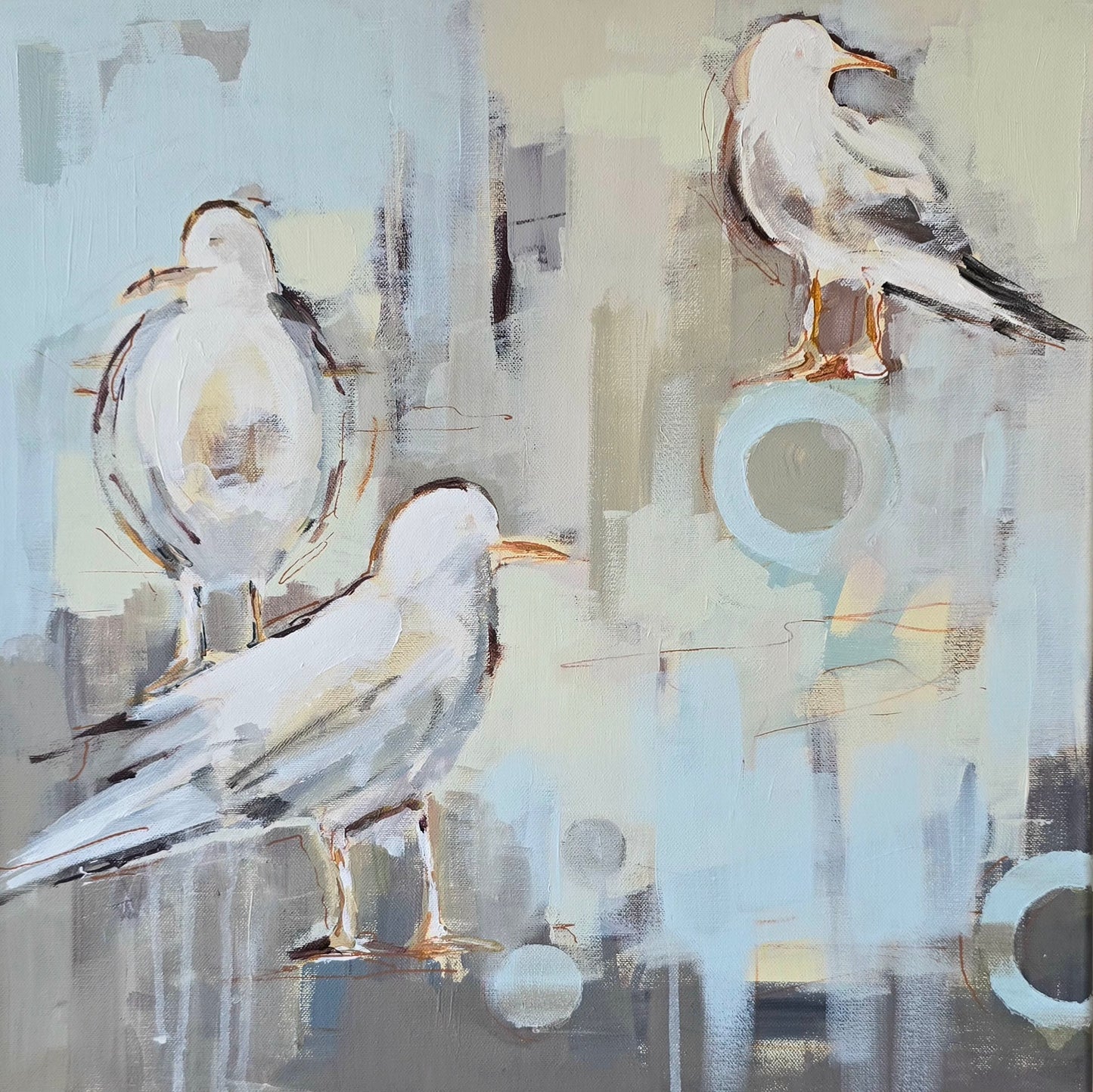 the seagulls #4