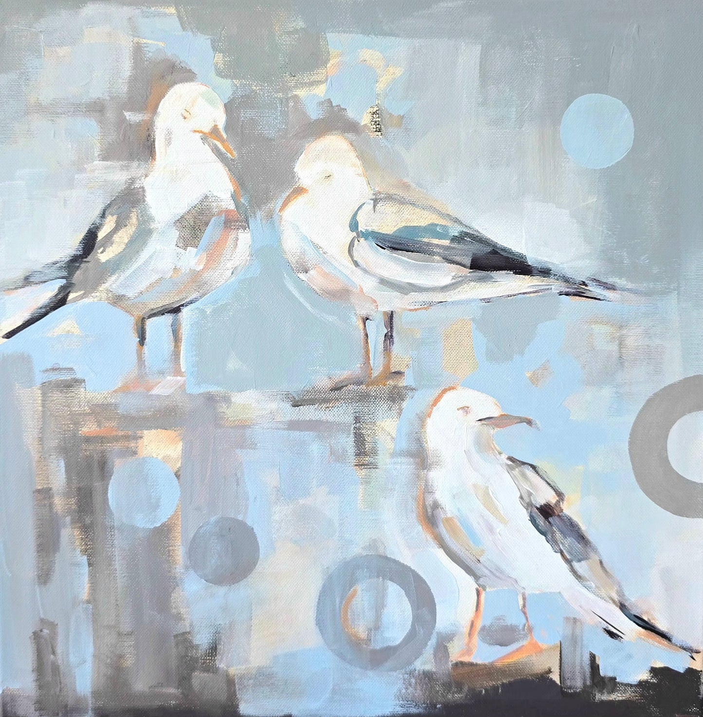 the seagulls #7